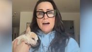 General Hospital's Rena Sofer is fostering a rescue dog | Image: Rena Sofer/Instagram